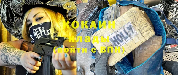 гашик Алзамай