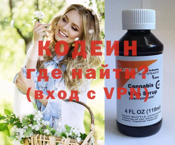 гашик Алзамай