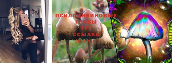 гашик Алзамай